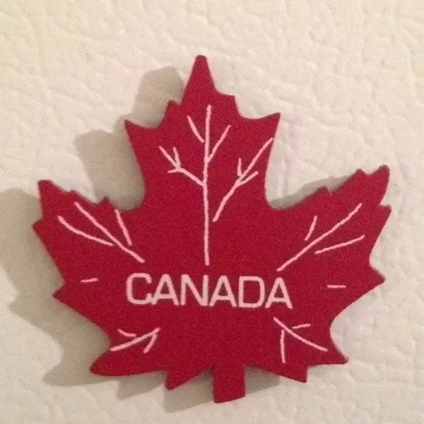 加拿大房产：温哥华独立屋是否成为奢侈品？