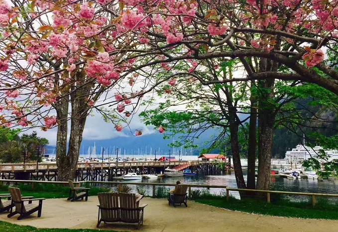 温哥华房产“马蹄湾一号”呈现奢华与自然并存