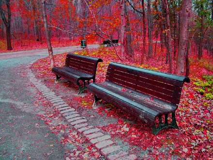 在加拿大贷款买房需要做哪些准备?