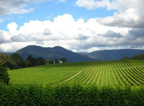 加拿大房产:怎样选择靠谱的房屋中介